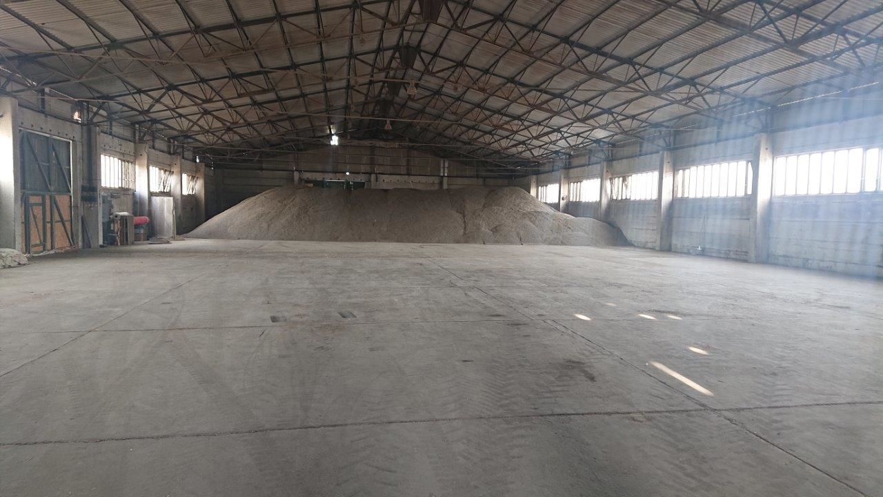 Innenansicht Halle 2-bild